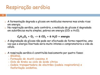 Respiração aeróbia
33



        A fermentação degrada a glicose em moléculas menores mas ainda ricas
         em energia.
        Na respiração aeróbia, pelo contrário, a molécula de glicose é degradada
         em substâncias muito simples, pobres em energia (CO2 e H2O).

                 C6H12O6 + O2 -> 6 CO2 + 6 H2O + energia
        A degradação da glicose não pode ser efectuada de forma repentina, uma
         vez que a energia libertada seria muito intensa e comprometeria a vida da
         célula.

        A respiração aeróbia é constituída basicamente por quatro fases:
           Glicólise,
           Formação de Acetil-coezima A

           Ciclo de Krebs ou ciclo do ácido cítrico

           Cadeia transportadora de electrões (cadeia respiratória) e
            fosforilação oxidativa.
 