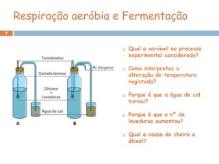 Respiração aeróbia e Fermentação
9



                          Qual a variável no processo
                           experimental considerado?

                          Como interpretas a
                           alteração de temperatura
                           registada?

                          Porque é que a água de cal
                           turvou?

                          Porque é que o nº de
                           leveduras aumentou?

                          Qual a causa do cheiro a
                           álcool?
 