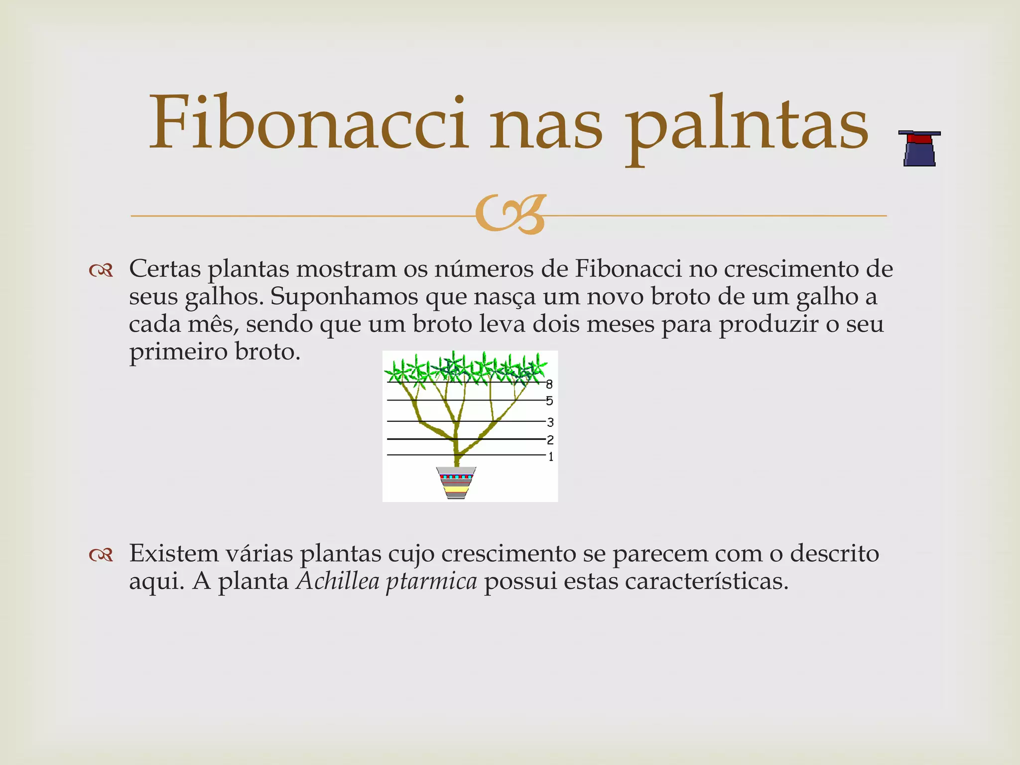Fibonacci nas palntas
              
 Certas plantas mostram os números de Fibonacci no crescimento de
  seus galhos. Suponhamos que nasça um novo broto de um galho a
  cada mês, sendo que um broto leva dois meses para produzir o seu
  primeiro broto.




 Existem várias plantas cujo crescimento se parecem com o descrito
  aqui. A planta Achillea ptarmica possui estas características.
 