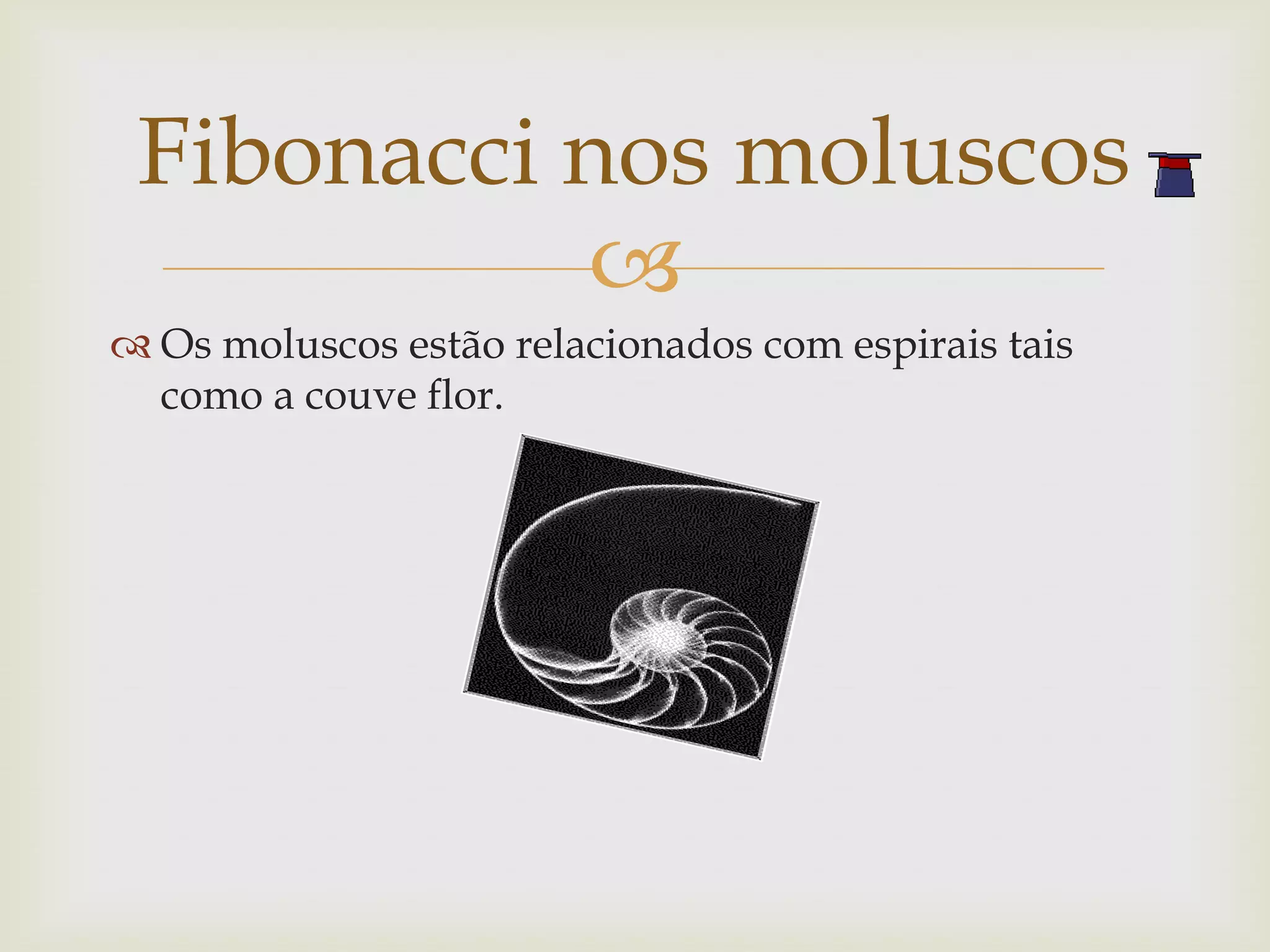 Fibonacci nos moluscos
           
 Os moluscos estão relacionados com espirais tais
  como a couve flor.
 