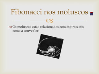 Fibonacci nos moluscos
           
 Os moluscos estão relacionados com espirais tais
  como a couve flor.
 