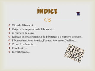 ÍNDICE
                          
   Vida de Fibonacci…
   Origem da sequencia de Fibonacci…
   O número de ouro…
   Relação entre a sequencia de Fibonacci e o número de ouro…
   Fibonaccina: Arte, Música,Plantas, Moluscos,Coelhos…
   O que é realmente….
   Conclusão…
   Identificação…
 