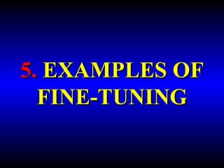 5. EXAMPLES OF 
FINE-TUNING 
 