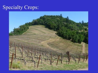 Specialty Crops:
 