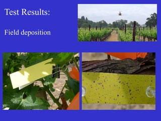 Test Results:
Field deposition
 