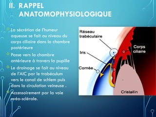 II. RAPPEL
ANATOMOPHYSIOLOGIQUE
 La sécrétion de l’humeur
aqueuse se fait au niveau du
corps ciliaire dans la chambre
postérieure
 Passe vers la chambre
antérieure à travers la pupille
 Le drainage se fait au niveau
de l’AIC par le trabéculum
vers le canal de schlem puis
dans la circulation veineuse .
 Accessoirement par la voie
uvéo-sclérale.
 