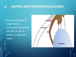 II. RAPPEL ANATOMOPHYSIOLOGIQUE
• Dans le glaucome à
angle fermé :
obstruction mécanique
de l’AIC ce qui va
induire un glaucome
aigue
 