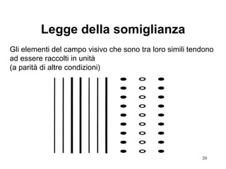 Legge della somiglianza Gli elementi del campo visivo che sono tra loro simili tendono ad essere raccolti in unità (a parità di altre condizioni) 