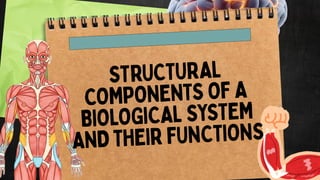 11 - GS- Body System Stuctural components | PDF