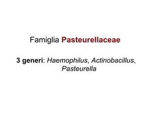 Famiglia Pasteurellaceae

3 generi: Haemophilus, Actinobacillus,
             Pasteurella
 
