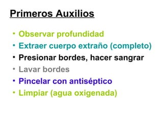 Primeros Auxilios
• Observar profundidad
• Extraer cuerpo extraño (completo)
• Presionar bordes, hacer sangrar
• Lavar bordes
• Pincelar con antiséptico
• Limpiar (agua oxigenada)
 