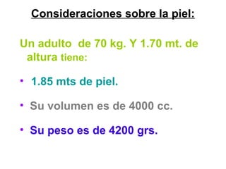 Consideraciones sobre la piel:
Un adulto de 70 kg. Y 1.70 mt. de
altura tiene:
• 1.85 mts de piel.
• Su volumen es de 4000 cc.
• Su peso es de 4200 grs.
 