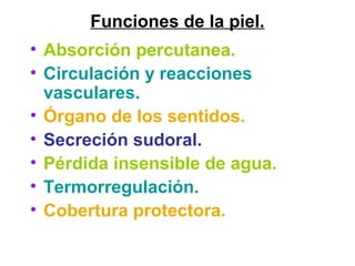 Funciones de la piel.
• Absorción percutanea.
• Circulación y reacciones
vasculares.
• Órgano de los sentidos.
• Secreción sudoral.
• Pérdida insensible de agua.
• Termorregulación.
• Cobertura protectora.
 