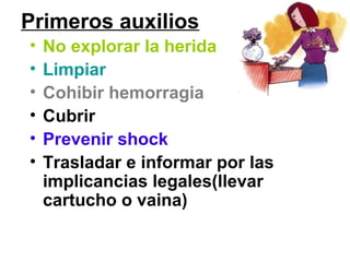 Primeros auxilios
• No explorar la herida
• Limpiar
• Cohibir hemorragia
• Cubrir
• Prevenir shock
• Trasladar e informar por las
implicancias legales(llevar
cartucho o vaina)
 