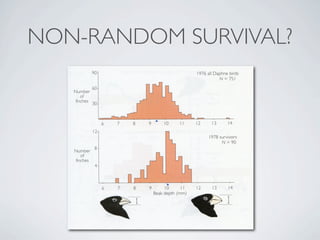 NON-RANDOM SURVIVAL?
 
