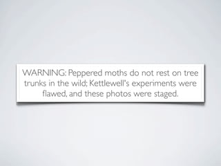 WARNING: Peppered moths do not rest on tree
trunks in the wild; Kettlewell's experiments were
     ﬂawed, and these photos were staged.
 