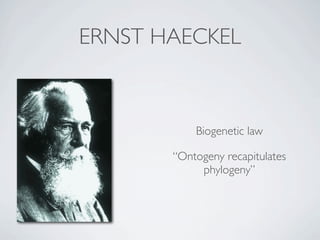 ERNST HAECKEL



           Biogenetic law

       “Ontogeny recapitulates
            phylogeny”
 