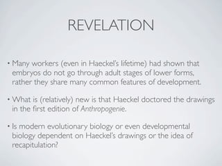 REVELATION

• Many  workers (even in Haeckel’s lifetime) had shown that
  embryos do not go through adult stages of lower forms,
  rather they share many common features of development.

• What   is (relatively) new is that Haeckel doctored the drawings
  in the ﬁrst edition of Anthropogenie.

• Ismodern evolutionary biology or even developmental
  biology dependent on Haeckel’s drawings or the idea of
  recapitulation?
 