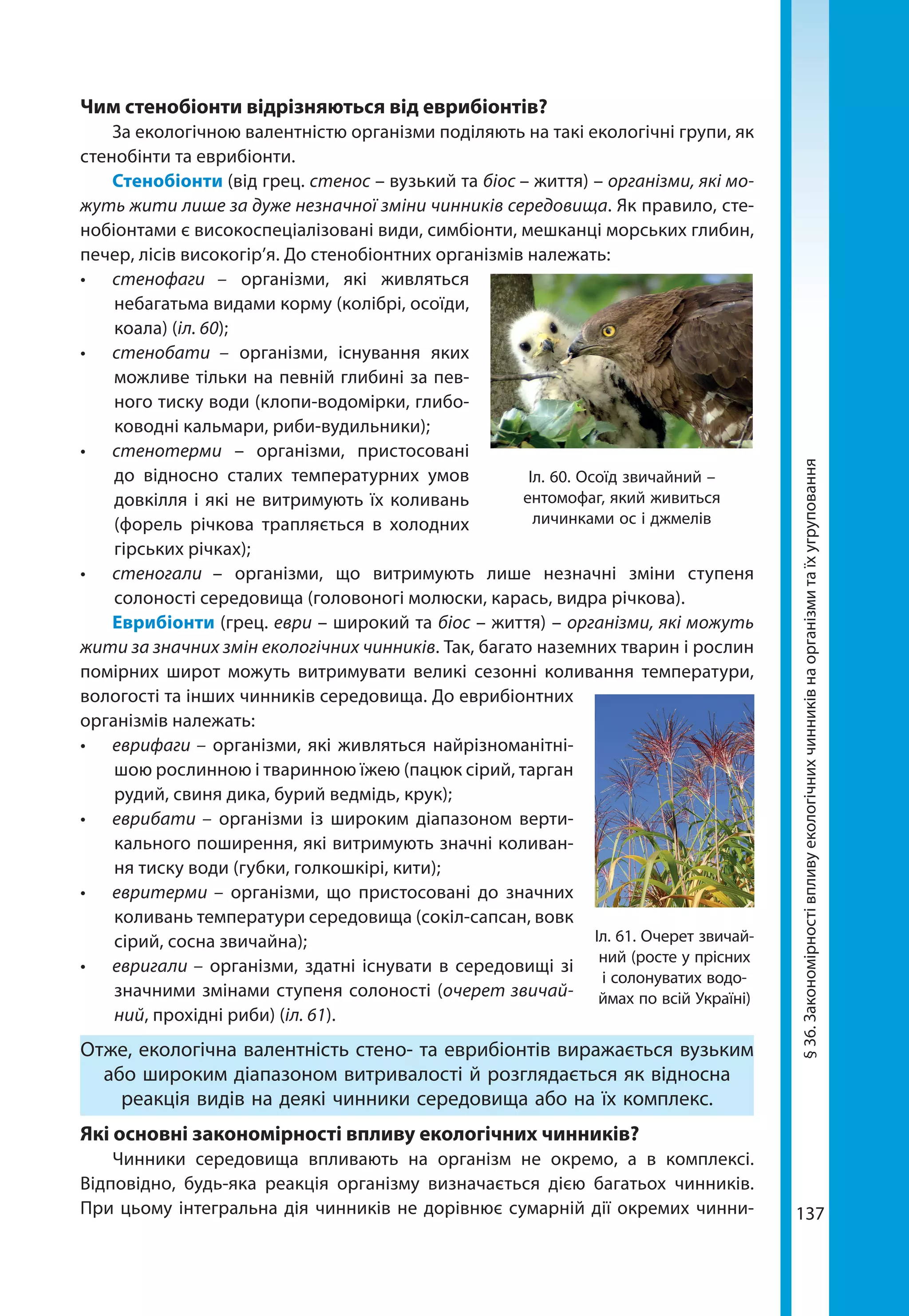 137
§36.Закономірностівпливуекологічнихчинниківнаорганізмитаїхугруповання
Чим стенобіонти відрізняються від еврибіонтів?
За екологічною валентністю організми поділяють на такі екологічні групи, як
стенобінти та еврибіонти.
Стенобіонти (від грец. стенос – вузький та біос – життя) – організми, які мо-
жуть жити лише за дуже незначної зміни чинників середови­ща. Як правило, сте-
нобіонтами є високоспеціалізовані види, симбіонти, мешканці морських глибин,
печер, лісів високогір’я. До стенобіонтних організмів належать:
•	 стенофаги –  організми, які живляться
небагатьма видами корму (колібрі, осоїди,
коала) (іл. 60);
•	 стенобати –  організми, існування яких
можливе тільки на певній глибині за пев-
ного тиску води (клопи-водомірки, глибо-
ководні кальмари, риби-вудильники);
•	 стенотерми  – організми, пристосовані
до відносно сталих температурних умов
довкілля і які не витримують їх коливань
(форель річкова трапляється в холодних
гірських річках);
•	 стеногали – організми, що витримують лише незначні зміни ступеня
солоності середовища (головоногі молюски, карась, видра річкова).
Еврибіонти (грец. еври – широкий та біос – життя) – організми, які можуть
жити за значних змін екологічних чинників. Так, багато наземних тварин і рослин
помірних широт можуть витримувати великі сезонні коливання температури,
вологості та інших чинників середовища. До еврибіонтних
організмів належать:
•	 еврифаги – організми, які живляться найрізноманітні-
шою рослинною і тваринною їжею (пацюк сірий, тарган
рудий, свиня дика, бурий ведмідь, крук);
•	 еврибати –  організми із широким діапазоном верти-
кального поширення, які витримують значні коливан-
ня тиску води (губки, голкошкірі, кити);
•	 евритерми –  організми, що пристосовані до значних
коливань температури середовища (сокіл-сапсан, вовк
сірий, сосна звичайна);
•	 евригали – організми, здатні існувати в середовищі зі
значними змінами ступеня солоності (очерет звичай-
ний, прохідні риби) (іл. 61).
Отже, екологічна валентність стено- та еврибіонтів виражається вузьким
або широким діапазоном витривалості й розглядається як відносна
реакція видів на деякі чинники середовища або на їх комплекс.
Які основні закономірності впливу екологічних чинників?
Чинники середовища впливають на організм не окремо, а в комплексі.
Відповідно, будь-яка реакція організму визначається дією багатьох чинників.
При цьому інтегральна дія чинників не дорівнює сумарній дії окремих чинни-
Іл. 61. Очерет звичай-
ний (росте у прісних
і солонуватих водо-
ймах по всій Україні)
Іл. 60. Осоїд звичайний –
ентомофаг, який живиться
личинками ос і джмелів
 