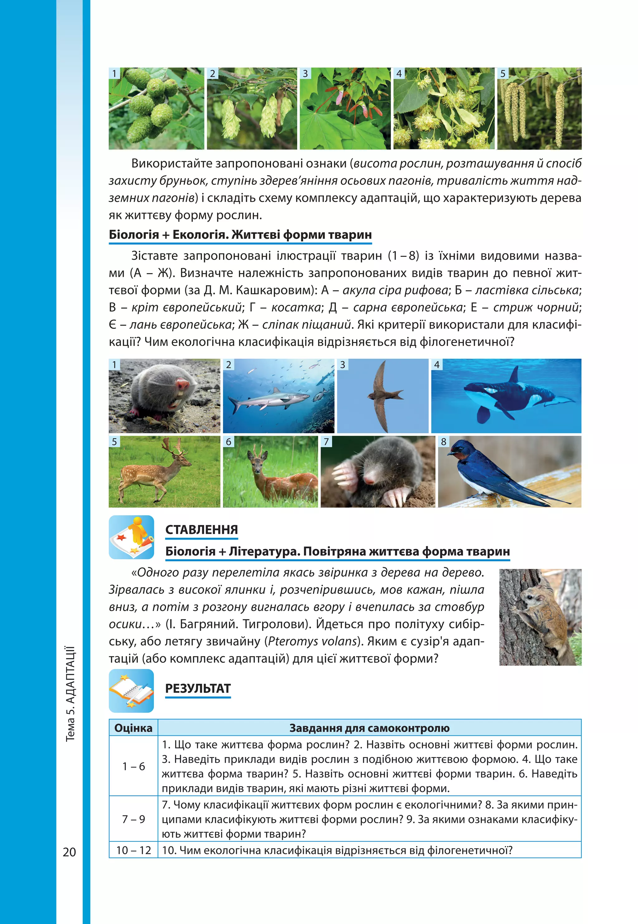 Тема5.АДАПТАЦІЇ
20
1 2 3 4 5
Використайте запропоновані ознаки (висота рослин, розташування й спосіб
захисту бруньок, ступінь здерев’яніння осьових пагонів, тривалість життя над-
земних пагонів) і складіть схему комплексу адаптацій, що характеризують дерева
як життєву форму рослин.
Біологія + Екологія. Життєві форми тварин
Зіставте запропоновані ілюстрації тварин (1 – 8) із їхніми видовими назва-
ми (А – Ж). Визначте належність запропонованих видів тварин до певної жит-
тєвої форми (за Д. М. Кашкаровим): А – акула сіра рифова; Б – ластівка сільська;
В – кріт європейський; Г – косатка; Д – сарна європейська; Е – стриж чорний;
Є – лань європейська; Ж – сліпак піщаний. Які критерії використали для класифі-
кації? Чим екологічна класифікація відрізняється від філогенетичної?
1
5 6
2 3 4
7 8
СТАВЛЕННЯ
Біологія + Література. Повітряна життєва форма тварин
«Одного разу перелетіла якась звіринка з дерева на дерево.
Зірвалась з високої ялинки і, розчепірившись, мов кажан, пішла
вниз, а потім з розгону вигналась вгору і вчепилась за стовбур
осики…» (І. Багряний. Тигролови). Йдеться про політуху сибір-
ську, або летягу звичайну (Pteromys volans). Яким є сузір'я адап-
тацій (або комплекс адаптацій) для цієї життєвої форми?
	РЕЗУЛЬТАТ
Оцінка Завдання для самоконтролю
1 – 6
1. Що таке життєва форма рослин? 2. Назвіть основні життєві форми рослин.
3. Наведіть приклади видів рослин з подібною життєвою формою. 4. Що таке
життєва форма тварин? 5. Назвіть основні життєві форми тварин. 6. Наведіть
приклади видів тварин, які мають різні життєві форми.
7 – 9
7. Чому класифікації життєвих форм рослин є екологічними? 8. За якими прин-
ципами класифікують життєві форми рослин? 9. За якими ознаками класифіку-
ють життєві форми тварин?
10 – 12 10. Чим екологічна класифікація відрізняється від філогенетичної?
 