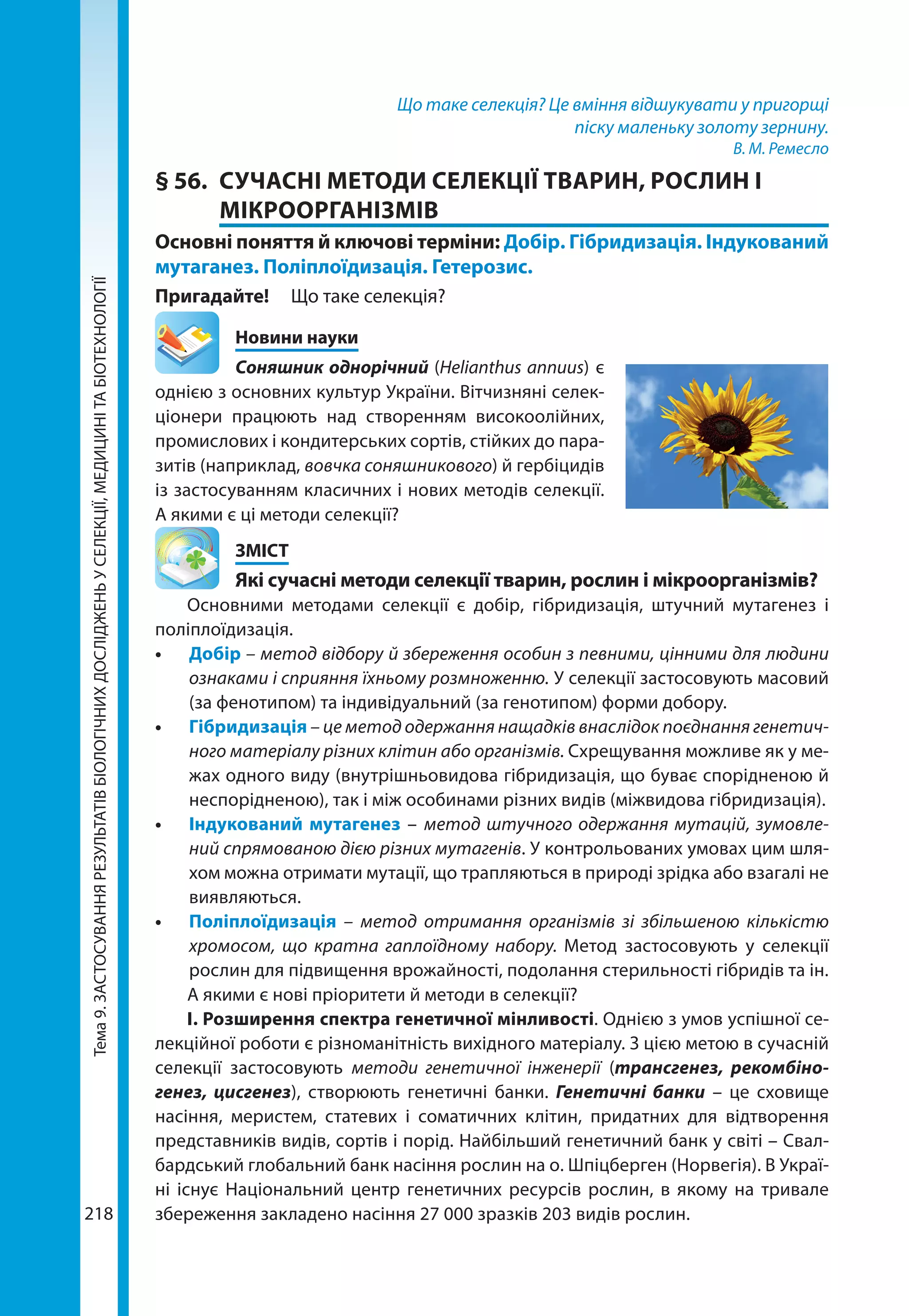 Тема9.ЗАСТОСУВАННЯРЕЗУЛЬТАТІВБІОЛОГІЧНИХДОСЛІДЖЕНЬУСЕЛЕКЦІЇ,МЕДИЦИНІТАБІОТЕХНОЛОГІЇ
218
Що таке селекція? Це вміння відшукувати у пригорщі
піску маленьку золоту зернину.
В. М. Ремесло
§ 56.	 СУЧАСНІ МЕТОДИ СЕЛЕКЦІЇ ТВАРИН, РОСЛИН І
МІКРООРГАНІЗМІВ
Основні поняття й ключові терміни: Добір. Гібридизація. Індукований
мутаганез. Поліплоїдизація. Гетерозис.
Пригадайте! 	 Що таке селекція?
	 Новини науки
Соняшник однорічний (Helianthus annuus) є
однією з основних культур України. Вітчизняні селек-
ціонери працюють над створенням високоолійних,
промислових і кондитерських сортів, стійких до пара-
зитів (наприклад, вовчка соняшникового) й гербіцидів
із застосуванням класичних і нових методів селекції.
А якими є ці методи селекції?
	ЗМІСТ
	 Які сучасні методи селекції тварин, рослин і мікроорганізмів?
Основними методами селекції є добір, гібридизація, штучний мутагенез і
поліплоїдизація.
•	 Добір – метод відбору й збереження особин з певними, цінними для людини
ознаками і сприяння їхньому розмноженню. У селекції застосовують масовий
(за фенотипом) та індивідуальний (за генотипом) форми добору.
•	 Гібридизація – це метод одержання нащадків внаслідок поєднання генетич-
ного матеріалу різних клітин або організмів. Схрещування можливе як у ме-
жах одного виду (внутрішньовидова гібридизація, що буває спорідненою й
неспорідненою), так і між особинами різних видів (міжвидова гібридизація).
•	 Індукований мутагенез – метод штучного одержання мутацій, зумовле-
ний спрямованою дією різних мутагенів. У контрольованих умовах цим шля-
хом можна отримати мутації, що трапляються в природі зрідка або взагалі не
виявляються. 
•	 Поліплоїдизація – метод отримання організмів зі збільшеною кількістю
хромосом, що кратна гаплоїдному набору. Метод застосовують у селекції
рослин для підвищення врожайності, подолання стерильності гібридів та ін.
А якими є нові пріоритети й методи в селекції?
І. Розширення спектра генетичної мінливості. Однією з умов успішної се-
лекційної роботи є різноманітність вихідного матеріалу. З цією метою в сучасній
селекції застосовують методи генетичної інженерії (трансгенез, рекомбіно­
генез, цисгенез), створюють генетичні банки. Генетичні банки – це сховище
насіння, меристем, статевих і соматичних клітин, придатних для відтворення
представників видів, сортів і порід. Найбільший генетичний банк у світі – Свал-
бардський глобальний банк насіння рослин на о. Шпіцберген (Норвегія). В Украї­
ні існує Національний центр генетичних ресурсів рослин, в якому на тривале
збереження закладено насіння 27 000 зразків 203 видів рослин.
 