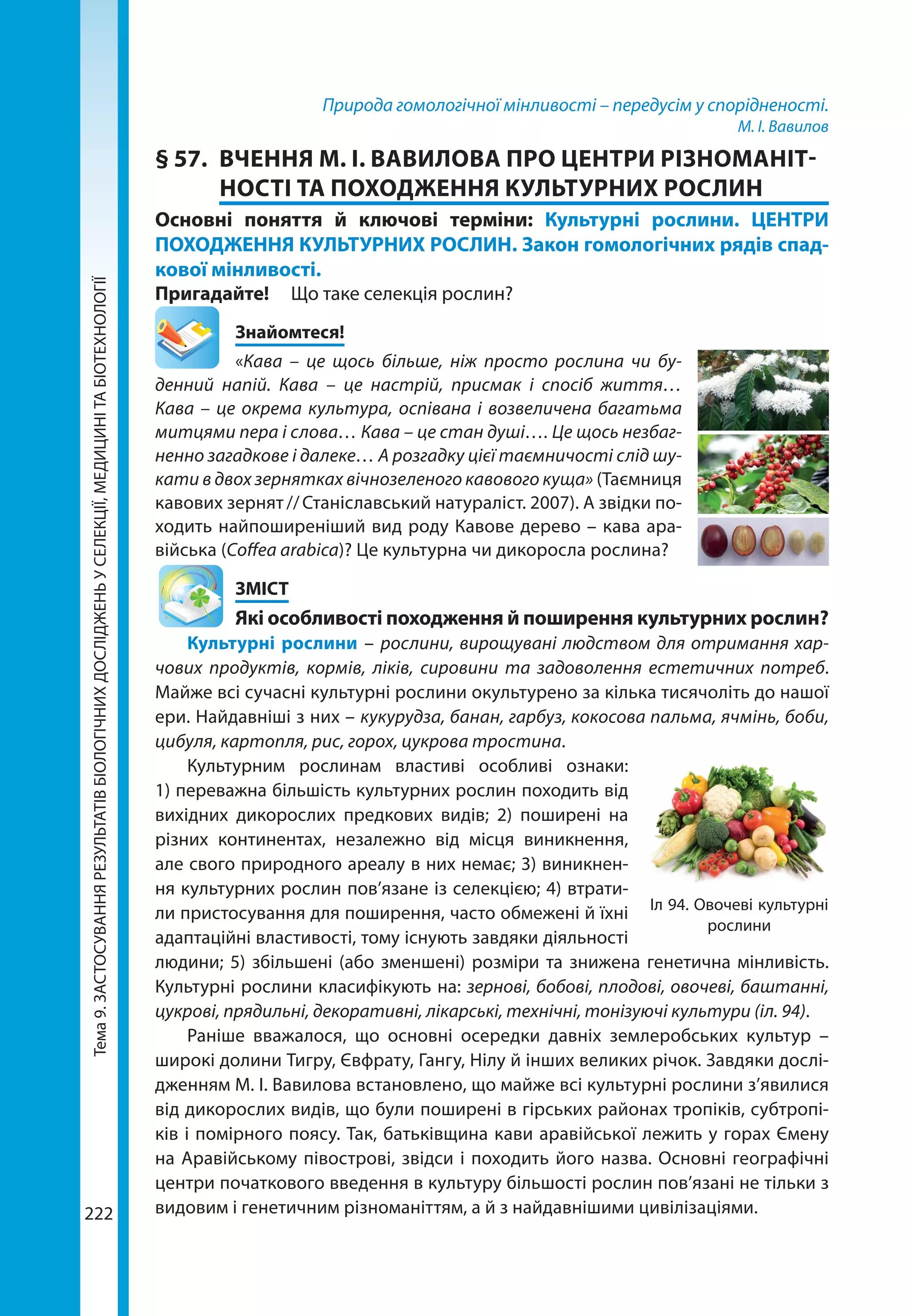 Тема9.ЗАСТОСУВАННЯРЕЗУЛЬТАТІВБІОЛОГІЧНИХДОСЛІДЖЕНЬУСЕЛЕКЦІЇ,МЕДИЦИНІТАБІОТЕХНОЛОГІЇ
222
Природа гомологічної мінливості – передусім у спорідненості.
М. І. Вавилов
§ 57.	 ВЧЕННЯ М. І. ВАВИЛОВА ПРО ЦЕНТРИ РІЗНОМАНІТ­
НОСТІ ТА ПОХОДЖЕННЯ КУЛЬТУРНИХ РОСЛИН
Основні поняття й ключові терміни: Культурні рослини. ЦЕНТРИ
ПОХОДЖЕННЯ КУЛЬТУРНИХ РОСЛИН. Закон гомологічних рядів спад-
кової мінливості.
Пригадайте!	 Що таке селекція рослин?
	Знайомтеся!
«Кава – це щось більше, ніж просто рослина чи бу-
денний напій. Кава – це настрій, присмак і спосіб життя…
Кава – це окрема культура, оспівана і возвеличена багатьма
митцями пера і слова… Кава – це стан душі…. Це щось незбаг-
ненно загадкове і далеке… А розгадку цієї таємничості слід шу-
кати в двох зернятках вічнозеленого кавового куща» (Таємниця
кавових зернят // Станіславський натураліст. 2007). А звідки по-
ходить найпоширеніший вид роду Кавове дерево – кава ара-
війська (Coffea arabica)? Це культурна чи дикоросла рослина?
	ЗМІСТ
	 Які особливості походження й поширення культурних рослин?
Культурні рослини – рослини, вирощувані людством для отримання хар-
чових продуктів, кормів, ліків, сировини та задоволення естетичних потреб.
Майже всі сучасні культурні рослини окультурено за кілька тисячоліть до нашої
ери. Найдавніші з них – кукурудза, банан, гарбуз, кокосова пальма, ячмінь, боби,
цибуля, картопля, рис, горох, цукрова тростина.
Культурним рослинам властиві особливі ознаки:
1) переважна більшість культурних рослин походить від
вихідних дикорослих предкових видів; 2) поширені на
різних континентах, незалежно від місця ви­никнення,
але свого природного ареалу в них немає; 3) виникнен-
ня культурних рослин пов’язане із селекцією; 4) втрати-
ли пристосування для поширення, часто обмежені й їхні
адаптаційні властивості, тому існують завдяки діяльності
людини; 5) збільшені (або зменшені) розміри та знижена генетична мінливість.
Культурні рослини класифікують на: зернові, бобові, плодові, овочеві, баштанні,
цукрові, прядильні, декоративні, лікарські, технічні, тонізуючі культури (іл. 94).
Раніше вважалося, що основні осередки давніх землеробських культур –
широкі долини Тигру, Євфрату, Гангу, Нілу й інших великих річок. Завдяки дослі-
дженням М. І. Вавилова встановлено, що майже всі культурні рослини з’явилися
від дикорослих видів, що були поширені в гірських районах тропіків, субтропі-
ків і помірного поясу. Так, батьківщина кави аравійської лежить у горах Ємену
на Аравійському півострові, звідси і походить його назва. Основні географічні
центри початкового введення в культуру більшості рослин пов’язані не тільки з
видовим і генетичним різноманіттям, а й з найдавнішими цивілізаціями.
Іл 94. Овочеві культурні
рослини
 
