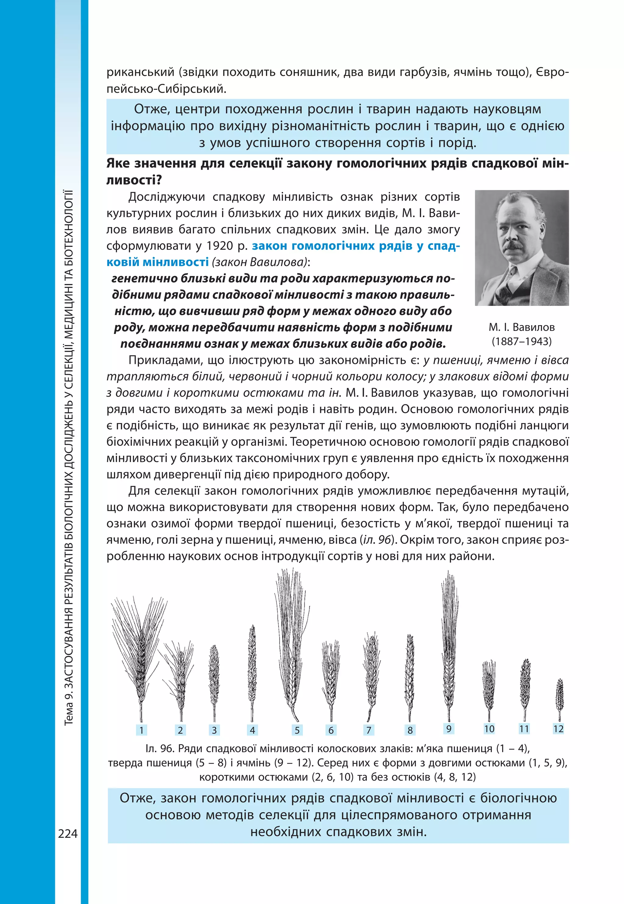 Тема9.ЗАСТОСУВАННЯРЕЗУЛЬТАТІВБІОЛОГІЧНИХДОСЛІДЖЕНЬУСЕЛЕКЦІЇ,МЕДИЦИНІТАБІОТЕХНОЛОГІЇ
224
риканський (звідки походить соняшник, два види гарбузів, ячмінь тощо), Євро-
пейсько-Сибірський.
Отже, центри походження рослин і тварин надають науковцям
інформацію про вихідну різноманітність рослин і тварин, що є однією
з умов успішного створення сортів і порід.
Яке значення для селекції закону гомологічних рядів спадкової мін-
ливості?
Досліджуючи спадкову мінливість ознак різних сортів
культурних рослин і близьких до них диких видів, М. І. Вави-
лов виявив багато спільних спадкових змін. Це дало змогу
сформулювати у 1920 р. закон гомологічних рядів у спад-
ковій мінливості (закон Вавилова):
генетично близькі види та роди характеризуються по­
дібними рядами спадкової мінливості з такою правиль­
ністю, що вивчивши ряд форм у межах одного виду або
роду, можна передбачити наявність форм з подібними
поєднаннями ознак у межах близьких видів або родів.
Прикладами, що ілюструють цю закономірність є: у пшениці, ячменю і вівса
трапляються білий, червоний і чорний кольори колосу; у злакових відомі форми
з довгими і короткими остюками та ін. М. І. Вавилов указував, що гомоло­гічні
ряди часто виходять за межі ро­дів і навіть родин. Основою гомологічних рядів
є подібність, що виникає як результат дії генів, що зумов­люють подібні ланцюги
біохімічних реакцій у організмі. Теоретичною основою гомології рядів спадкової
мінливості у близьких таксономічних груп є уявлення про єдність їх походження
шляхом дивергенції під дією природного добору.
Для селекції закон гомологічних рядів уможливлює передбачення мутацій,
що мо­жна використовувати для створення нових форм. Так, було передбачено
ознаки озимої форми твердої пшениці, безостість у м’якої, твердої пшениці та
ячменю, голі зерна у пшениці, ячменю, вівса (іл. 96). Окрім того, закон сприяє роз-
робленню наукових основ інтродукції сортів у нові для них райони.
М. І. Вавилов
(1887–1943)
Іл. 96. Ряди спадкової мінливості колоскових злаків: м’яка пшениця (1 – 4),
тверда пшениця (5 – 8) і ячмінь (9 – 12). Серед них є форми з довгими остюками (1, 5, 9),
короткими остюками (2, 6, 10) та без остюків (4, 8, 12)
1 5 6 7 8 9 10 11 122 3 4
Отже, закон гомологічних рядів спадкової мінливості є біологічною
основою методів селекції для цілеспрямованого отримання
необхідних спадкових змін.
 