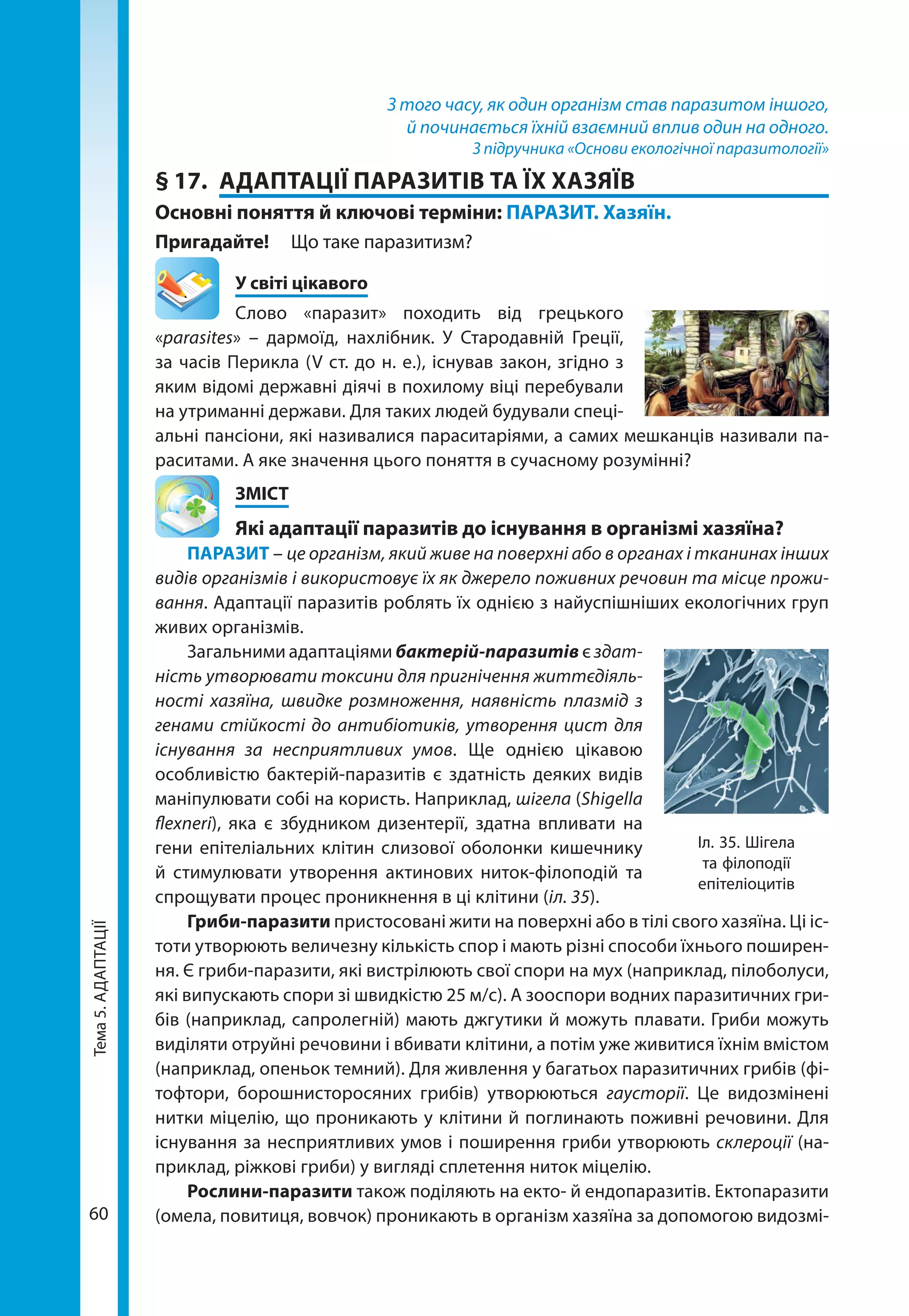 Тема5.АДАПТАЦІЇ
60
З того часу, як один організм став паразитом іншого,
й починається їхній взаємний вплив один на одного.
З підручника «Основи екологічної паразитології»
§ 17.	 АДАПТАЦІЇ ПАРАЗИТІВ ТА ЇХ ХАЗЯЇВ
Основні поняття й ключові терміни: ПАРАЗИТ. Хазяїн.
Пригадайте! 	 Що таке паразитизм?
	 У світі цікавого
Слово «паразит» походить від грецького
«para­sites» – дармоїд, нахлібник. У Стародавній Греції,
за часів Перикла (V ст. до н. е.), існував закон, згідно з
яким відомі державні діячі в похилому віці перебували
на утриманні держави. Для таких людей будували спеці-
альні пансіони, які називалися параситаріями, а самих мешканців називали па-
раситами. А яке значення цього поняття в сучасному розумінні?
	ЗМІСТ
	 Які адаптації паразитів до існування в організмі хазяїна?
ПАРАЗИТ – це організм, який живе на поверхні або в органах і тканинах інших
видів організмів і використовує їх як джерело поживних речовин та місце прожи-
вання. Адаптації паразитів роблять їх однією з найуспішніших екологічних груп
живих організмів.
Загальними адаптаціями бактерій-паразитів є здат-
ність утворювати токсини для пригнічення життєдіяль-
ності хазяїна, швидке розмноження, наявність плазмід з
генами стійкості до антибіотиків, утворення цист для
існування за несприятливих умов. Ще однією цікавою
особ­ливістю бактерій-паразитів є здатність деяких видів
маніпулювати собі на користь. Наприклад, шігела (Shigella
flexneri), яка є збудником дизентерії, здатна впливати на
гени епітеліальних клітин слизової оболонки кишечнику
й стимулювати утворення актинових ниток-філоподій та
спрощувати процес проникнення в ці клітини (іл. 35).
Гриби-паразити пристосовані жити на поверхні або в тілі свого хазяїна. Ці іс-
тоти утворюють величезну кількість спор і мають різні способи їхнього поширен-
ня. Є гриби-паразити, які вистрілюють свої спори на мух (наприклад, пілоболуси,
які випускають спори зі швидкістю 25 м/с). А зооспори водних паразитичних гри-
бів (наприклад, сапролегній) мають джгутики й можуть плавати. Гриби можуть
виділяти отруйні речовини і вбивати клітини, а потім уже живитися їхнім вмі­стом
(наприклад, опеньок темний). Для живлення у багатьох паразитичних грибів (фі-
тофтори, борошнисторосяних грибів) утворюються гаусторії. Це видозмінені
нитки міцелію, що проникають у клітини й поглинають поживні речовини. Для
існування за несприятливих умов і поширення гриби утворюють склероції (на-
приклад, ріжкові гриби) у вигляді сплетення ниток міцелію.
Рослини-паразити також поділяють на екто- й ендопаразитів. Ектопаразити
(омела, повитиця, вовчок) проникають в організм хазяїна за допомогою видозмі-
Іл. 35. Шігела
та філоподії
епітеліоцитів
 