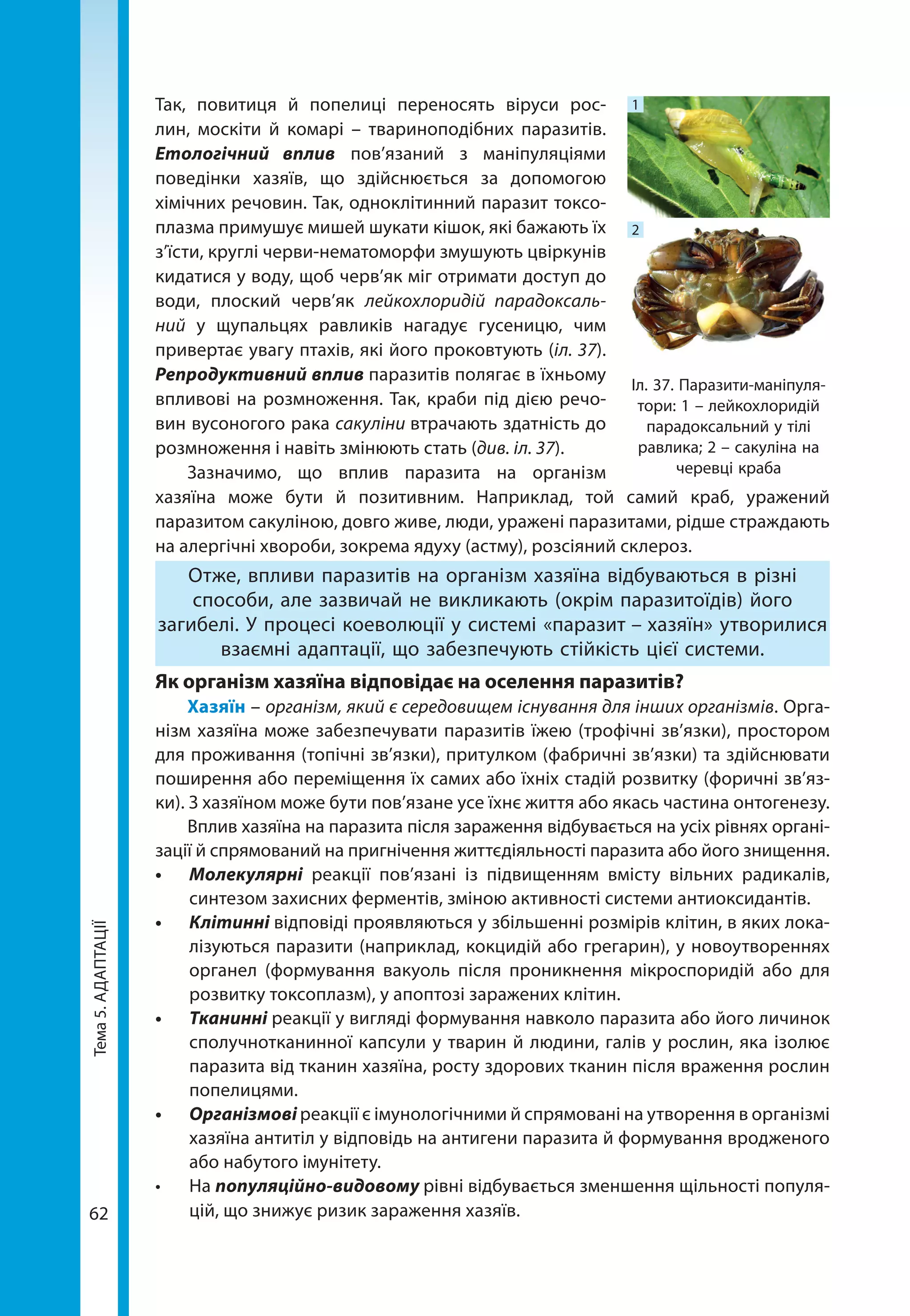 Тема5.АДАПТАЦІЇ
62
Так, повитиця й попелиці переносять віруси рос-
лин, москіти й комарі – твариноподібних паразитів.
Етологічний вплив пов’язаний з маніпуляціями
поведінки хазяїв, що здійснюється за допомогою
хімічних речовин. Так, одноклітинний паразит токсо­
плазма примушує мишей шукати кішок, які бажають їх
з’їсти, круглі черви-нематоморфи змушують цвіркунів
кидатися у воду, щоб черв’як міг отримати доступ до
води, плоский черв’як лейкохлоридій парадоксаль-
ний у щупальцях равликів нагадує гусеницю, чим
привертає увагу птахів, які його проковтують (іл. 37).
Репродуктивний вплив паразитів полягає в їхньому
впливові на розмноження. Так, краби під дією речо-
вин вусоногого рака сакуліни втрачають здатність до
розмноження і навіть змінюють стать (див. іл. 37).
Зазначимо, що вплив паразита на організм
хазяїна може бути й позитивним. Наприклад, той самий краб, уражений
паразитом сакуліною, довго живе, люди, уражені паразитами, рідше страждають
на алергічні хвороби, зокрема ядуху (астму), розсіяний склероз.
Отже, впливи паразитів на організм хазяїна відбуваються в різні
способи, але зазвичай не викликають (окрім паразитоїдів) його
загибелі. У процесі коеволюції у системі «паразит – хазяїн» утворилися
взаємні адаптації, що забезпечують стійкість цієї системи.
Як організм хазяїна відповідає на оселення паразитів?
Хазяїн – організм, який є середовищем існування для інших організмів. Орга-
нізм хазяїна може забезпечувати паразитів їжею (трофічні зв’язки), простором
для проживання (топічні зв’язки), притулком (фабричні зв’язки) та здійснювати
поширення або переміщення їх самих або їхніх стадій розвитку (форичні зв’яз-
ки). З хазяїном може бути пов’язане усе їхнє життя або якась частина онтогенезу.
Вплив хазяїна на паразита після зараження відбувається на усіх рівнях органі-
зації й спрямований на пригнічення життєдіяльності паразита або його знищення.
•	 Молекулярні реакції пов’язані із підвищенням вмісту вільних радикалів,
синтезом захисних ферментів, зміною активності системи антиоксидантів.
•	 Клітинні відповіді проявляються у збільшенні розмірів клітин, в яких лока-
лізуються паразити (наприклад, кокцидій або грегарин), у новоутвореннях
органел (формування вакуоль після проникнення мікроспоридій або для
розвитку токсоплазм), у апоптозі заражених клітин.
•	 Тканинні реакції у вигляді формування навколо паразита або його личинок
сполучнотканинної капсули у тварин й людини, галів у рослин, яка ізолює
паразита від тканин хазяїна, росту здорових тканин після враження рослин
попелицями.  
•	 Організмові реакції є імунологічними й спрямовані на утворення в організмі
хазяїна антитіл у відповідь на антигени паразита й формування вродженого
або набутого імунітету.
•	 На популяційно-видовому рівні відбувається зменшення щільності популя-
цій, що знижує ризик зараження хазяїв.
Іл. 37. Паразити-маніпуля-
тори: 1 – лейкохлоридій
парадоксальний у тілі
равлика; 2 – сакуліна на
черевці краба
1
2
 