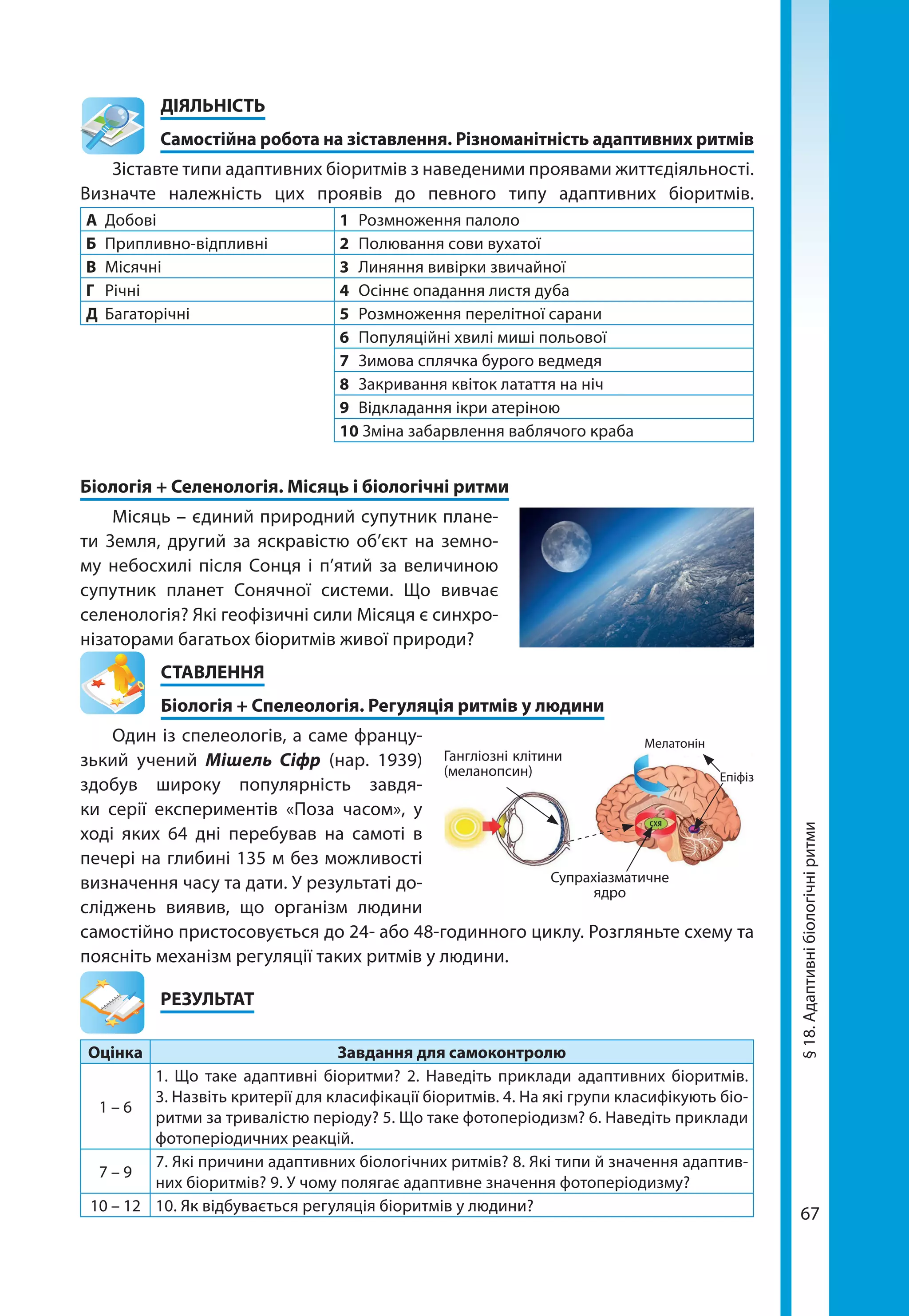 67
	ДІЯЛЬНІСТЬ
	 Самостійна робота на зіставлення. Різноманітність адаптивних ритмів
Зіставте типи адаптивних біоритмів з наведеними проявами життєдіяльності.
Визначте належність цих проявів до певного типу адаптивних біоритмів.
А	Добові 1	 Розмноження палоло
Б	Припливно-відпливні 2	 Полювання сови вухатої
В	Місячні 3	 Линяння вивірки звичайної
Г	Річні 4	 Осіннє опадання листя дуба
Д	Багаторічні 5	 Розмноження перелітної сарани
6	 Популяційні хвилі миші польової
7	 Зимова сплячка бурого ведмедя
8	 Закривання квіток латаття на ніч
9	 Відкладання ікри атеріною
10 Зміна забарвлення ваблячого краба
Біологія + Селенологія. Місяць і біологічні ритми
Місяць – єдиний природний супутник плане-
ти Земля, другий за яскравістю об’єкт на земно-
му небосхилі після Сонця і п’ятий за величиною
супутник планет Сонячної системи. Що вивчає
селенологія? Які геофізичні сили Місяця є синхро-
нізаторами багатьох біоритмів живої природи?
СТАВЛЕННЯ
Біологія + Спелеологія. Регуляція ритмів у людини
Один із спелеологів, а саме фран­цу­
зький учений Мішель Сіфр (нар. 1939)
здобув широку популярність завдя-
ки серії експериментів «Поза часом», у
ході яких 64 дні перебував на самоті в
печері на глибині 135 м без можливості
визначення часу та дати. У результаті до-
сліджень виявив, що організм людини
самостійно пристосовується до 24- або 48-годинного циклу. Розгляньте схему та
поясніть механізм регуляції таких ритмів у людини.
	РЕЗУЛЬТАТ
Оцінка Завдання для самоконтролю
1 – 6
1. Що таке адаптивні біоритми? 2. Наведіть приклади адаптивних біоритмів.
3. Назвіть критерії для класифікації біоритмів. 4. На які групи класифікують біо-
ритми за тривалістю періоду? 5. Що таке фотоперіодизм? 6. Наведіть приклади
фотоперіодичних реакцій.
7 – 9
7. Які причини адаптивних біологічних ритмів? 8. Які типи й значення адаптив-
них біоритмів? 9. У чому полягає адаптивне значення фотоперіодизму?
10 – 12 10. Як відбувається регуляція біоритмів у людини?
Мелатонін
Супрахіазматичне
ядро
Гангліозні клітини
(меланопсин) Епіфіз
§18.Адаптивнібіологічніритми
 