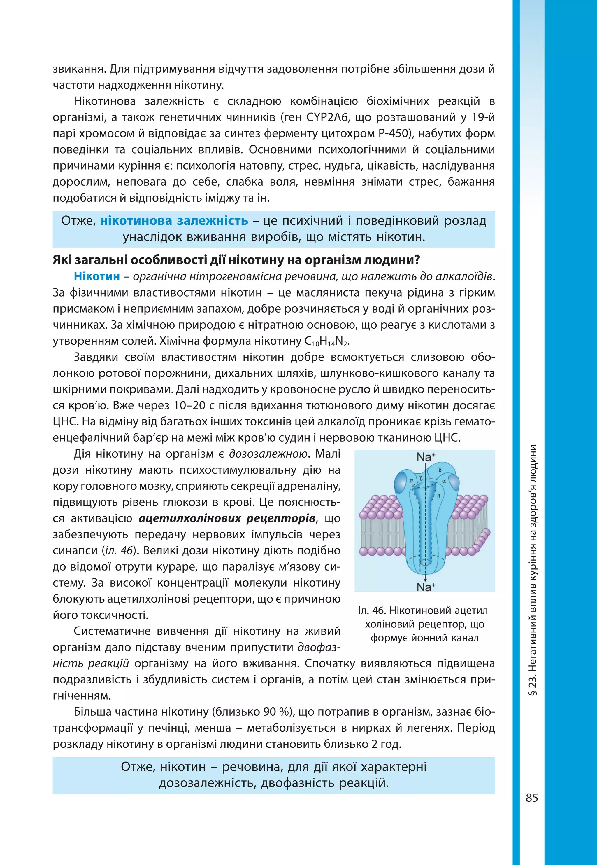 85
§23.Негативнийвпливкурінняназдоров’ялюдини
звикання. Для підтримування відчуття задоволення потрібне збільшення дози й
частоти надходження нікотину.
Нікотинова залежність є складною комбінацією біохімічних реакцій в
організмі, а також генетичних чинників (ген CYP2A6, що розташований у 19-й
парі хромосом й відповідає за синтез ферменту цитохром Р-450), набутих форм
поведінки та соціальних впливів. Основними психологічними й соціальними
причинами куріння є: психологія натовпу, стрес, нудьга, цікавість, наслідування
дорослим, неповага до себе, слабка воля, невміння знімати стрес, бажання
подобатися й відповідність іміджу та ін.
Отже, нікотинова залежність – це психічний і поведінковий розлад
унаслідок вживання виробів, що містять нікотин.
Які загальні особливості дії нікотину на організм людини?
Нікотин – органічна нітрогеновмісна речовина, що належить до алкалоїдів.
За фізичними властивостями нікотин – це масляниста пекуча рідина з гірким
присмаком і неприємним запахом, добре розчиняється у воді й органічних роз-
чинниках. За хімічною природою є нітратною основою, що реагує з кислотами з
утворенням солей. Хімічна формула нікотину С10Н14N2.
Завдяки своїм властивостям нікотин добре всмоктується слизовою обо-
лонкою ротової порожнини, дихальних шляхів, шлунково-кишкового каналу та
шкірними покривами. Далі надходить у кровоносне русло й швидко переносить-
ся кров’ю. Вже через 10–20 с після вдихання тютюнового диму нікотин досягає
ЦНС. На відміну від багатьох інших токсинів цей алкалоїд проникає крізь гемато-
енцефалічний бар’єр на межі між кров’ю судин і нервовою тканиною ЦНС.
Дія нікотину на організм є дозозалежною. Малі
дози нікотину мають психостимулювальну дію на
кору головного мозку, сприяють секреції адреналіну,
підвищують рівень глюкози в крові. Це пояснюєть-
ся активацією ацетилхолінових рецепторів, що
забезпечують передачу нервових імпульсів через
синапси (іл. 46). Великі дози нікотину діють подібно
до відомої отрути кураре, що паралізує м’язову си-
стему. За високої концентрації молекули нікотину
блокують ацетилхолінові рецептори, що є причиною
його токсичності.
Систематичне вивчення дії нікотину на живий
організм дало підставу вченим припустити двофаз-
ність реакцій організму на його вживання. Спочатку виявляються підвищена
подразливість і збудливість систем і органів, а потім цей стан змінюється при-
гніченням.
Більша частина нікотину (близько 90 %), що потрапив в організм, зазнає біо­
трансформації у печінці, менша – метаболізується в нирках й легенях. Період
розкладу нікотину в організмі людини становить близько 2 год.
Отже, нікотин – речовина, для дії якої характерні
дозозалежність, двофазність реакцій.
Іл. 46. Нікотиновий ацетил­
холіновий рецептор, що
формує йонний канал
 