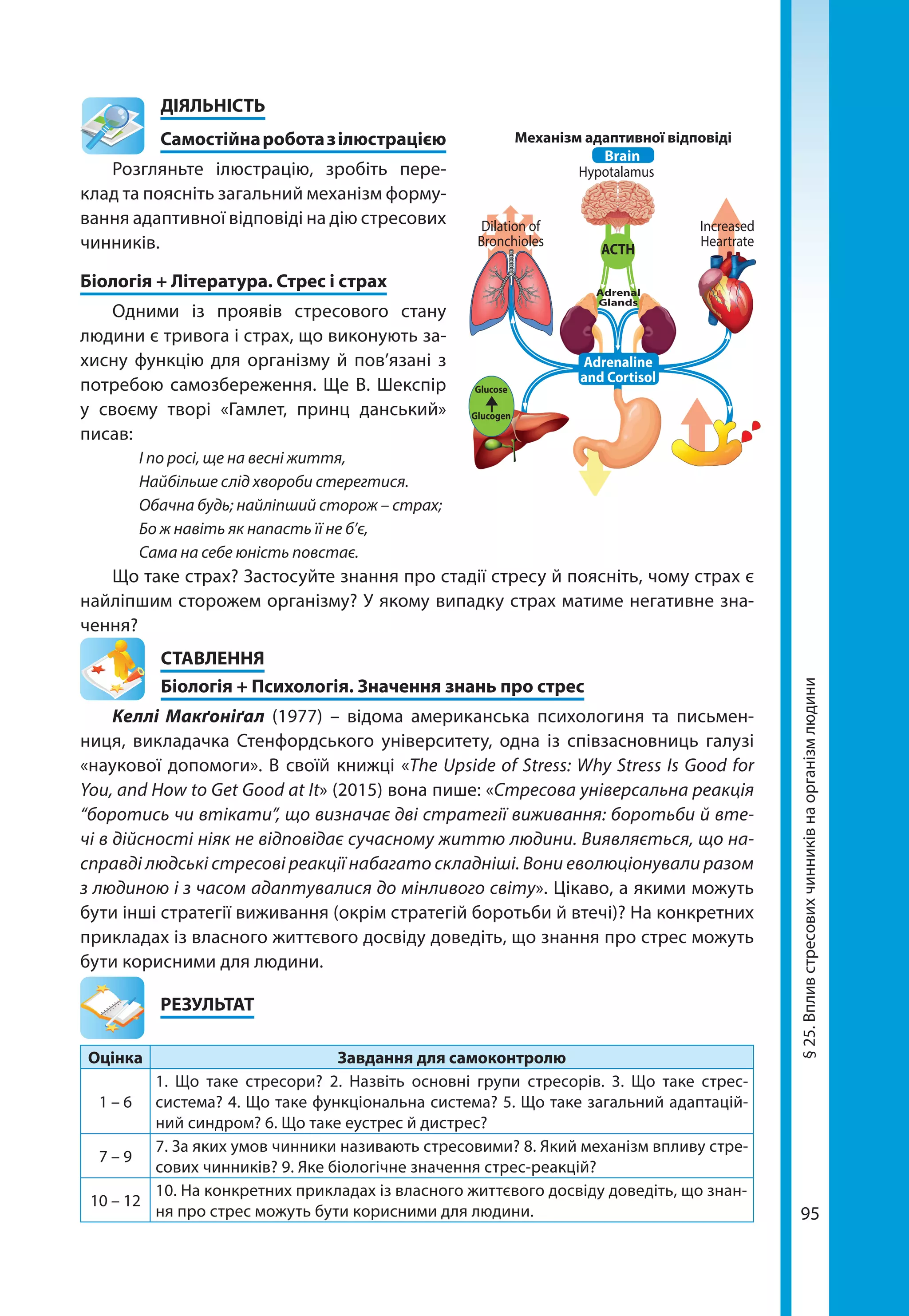 95
§25.Впливстресовихчинниківнаорганізмлюдини
	ДІЯЛЬНІСТЬ
	 Самостійнароботазілюстрацією
Розгляньте ілюстрацію, зробіть пере-
клад та поясніть загальний механізм форму-
вання адаптивної відповіді на дію стресових
чинників.
Біологія + Література. Стрес і страх
Одними із проявів стресового стану
людини є тривога і страх, що виконують за-
хисну функцію для організму й пов’язані з
потребою самозбереження. Ще В. Шекспір
у своєму творі «Гамлет, принц данський»
писав:
І по росі, ще на весні життя,
Найбільше слід хвороби стерегтися.
Обачна будь; найліпший сторож – страх;
Бо ж навіть як напасть її не б’є,
Сама на себе юність повстає.
Що таке страх? Застосуйте знання про стадії стресу й поясніть, чому страх є
найліпшим сторожем організму? У якому випадку страх матиме негативне зна-
чення?
СТАВЛЕННЯ
Біологія + Психологія. Значення знань про стрес
Келлі Макґоніґал (1977) – відома американська психологиня та письмен-
ниця, викладачка Стенфордського університету, одна із співзасновниць галузі
«наукової допомоги». В своїй книжці «The Upside of Stress: Why Stress Is Good for
You, and How to Get Good at It» (2015) вона пише: «Стресова універсальна реакція
“боротись чи втікати”, що визначає дві стратегії виживання: боротьби й вте-
чі в дійсності ніяк не відповідає сучасному життю людини. Виявляється, що на-
справді людські стресові реакції набагато складніші. Вони еволюціонували разом
з людиною і з часом адаптувалися до мінливого світу». Цікаво, а якими можуть
бути інші стратегії виживання (окрім стратегій боротьби й втечі)? На конкретних
прикладах із власного життєвого досвіду доведіть, що знання про стрес можуть
бути корисними для людини.
	РЕЗУЛЬТАТ
Оцінка Завдання для самоконтролю
1 – 6
1. Що таке стресори? 2. Назвіть основні групи стресорів. 3. Що таке стрес-
система? 4. Що таке функціональна система? 5. Що таке загальний адаптацій-
ний синдром? 6. Що таке еустрес й дистрес?
7 – 9
7. За яких умов чинники називають стресовими? 8. Який механізм впливу стре-
сових чинників? 9. Яке біологічне значення стрес-реакцій?
10 – 12
10. На конкретних прикладах із власного життєвого досвіду доведіть, що знан-
ня про стрес можуть бути корисними для людини.
Механізм адаптивної відповіді
Hypotalamus
Brain
Glucose
Glucogen
Dilation of
Bronchioles
Adrenal
Glands
ACTH
Increased
Heartrate
Adrenaline
and Cortisol
 