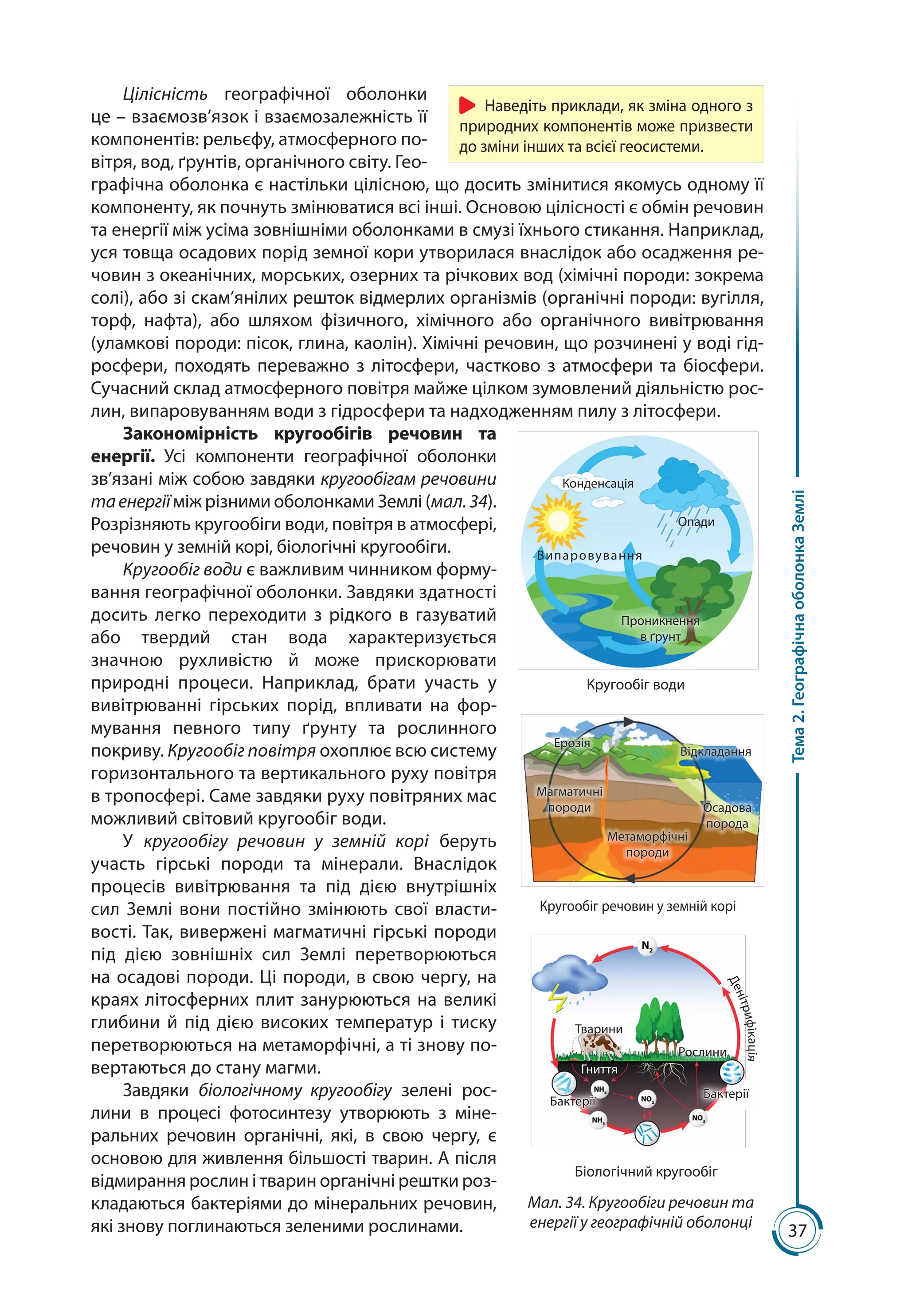 37
Тема2.ГеографічнаоболонкаЗемлі
Цілісність географічної оболонки
це – взаємо­зв’язок і взаємозалежність її
компонентів: рельєфу, ат­мосферного по-
вітря, вод, ґрунтів, органічного світу. Гео-
графічна оболонка є настільки цілісною, що досить змінитися якомусь одному її
компоненту, як почнуть змінюватися всі інші. Основою цілісності є обмін речовин
та енергії між усіма зовнішніми оболонками в смузі їхнього стикання. Наприклад,
уся товща осадових порід земної кори утворилася внаслідок або осадження ре-
човин з океанічних, морських, озерних та річкових вод (хімічні породи: зокрема
солі), або зі скам’янілих решток відмерлих організмів (органічні породи: вугілля,
торф, нафта), або шляхом фізичного, хімічного або органічного вивітрювання
(уламкові породи: пісок, глина, каолін). Хімічні речовин, що розчинені у воді гід-
росфери, походять переважно з літосфери, частково з атмосфери та біосфери.
Сучасний склад атмосферного повітря майже цілком зумовлений діяльністю рос-
лин, випаровуванням води з гідросфери та надходженням пилу з літо­сфери.
Закономірність кругообігів речовин та
енергії. Усі компоненти географічної оболонки
зв’язані між со­бою завдяки кругообігам речовини
таенергіїміж різними оболонками Землі (мал. 34).
Розрізняють кругообіги води, повітря в атмосфері,
речовин у земній корі, біологічні кругообіги.
Кругообіг води є важливим чинником фор­му­
вання географічної оболонки. Завдяки здатності
досить легко переходити з рідкого в газуватий
або твердий стан вода характеризується
значною рухливістю й може прискорювати
при­родні проце­си. Наприклад, брати участь у
вивітрюванні гірських порід, впливати на фор­
му­вання певного типу ґрунту та рослинного
покриву. Кругообіг повітря охоплює всю систему
горизонтально­го та вертикального руху повітря
в тропосфері. Саме завдя­ки руху повітряних мас
можливий світовий кругообіг води.
У кругообігу речовин у земній корі беруть
участь гірські породи та мінерали. Внаслідок
процесів вивітрювання та під дією внутрішніх
сил Землі вони постійно змінюють свої власти-
вості. Так, вивержені магматичні гірські породи
під дією зовнішніх сил Землі перетворюються
на оса­дові породи. Ці породи, в свою чергу, на
краях літосферних плит занурюються на великі
глибини й під дією високих температур і тиску
перетворюються на метаморфічні, а ті знову по-
вертаються до стану магми.
Завдяки біологічному кругообігу зелені рос-
лини в процесі фотосинтезу утво­рюють з міне-
ральних речовин органічні, які, в свою чергу, є
основою для живлення більшості тва­рин. А після
відмирання рослин і тварин органічні решт­ки роз-
кладаються бактеріями до мінеральних речовин,
які знову поглинаються зеленими рослинами.
Мал. 34. Кругообіги речовин та
енергії у географічній оболонці
Кругообіг води
Опади
Випаровування
Проникнення
в ґрунт
Конденсація
Кругообіг речовин у земній корі
Метаморфічні
породи
Магматичні
породи
Ерозія
Відкладання
Осадова
порода
Біологічний кругообіг
Бактерії
Рослини
Тварини
Бактерії
Гниття
Денітрифікація
Наведіть приклади, як зміна одного з
природних компонентів може призвести
до зміни інших та всієї геосистеми.
 