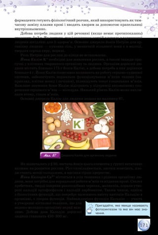 171
фармацевти готують фізіологічний розчин, який використовують як тим-
часову заміну плазми крові і вводять хворим за допомогою крапельниці
внутрішньовенно.
Добова потреба людини у цій речовині (якщо немає протипоказань)
становить 1–3 г. Як нестача, так і надлишок натрій хлориду в харчуванні
людини шкідливі для її здоров’я. Основне джерело йонів Натрію для ор-
ганізму людини — кухонна сіль, у незначній кількості вони є в молоці,
твердих сортах сиру, моркві.
Роль Натрію для рослин до кінця не встановлена.
Йони Калію K+ необхідні для живлення рослин, а також завжди при-
сутні у клітинах тваринного організму та людини. Організм дорослої лю-
дини містить близько 175 г йонів Калію, а добова потреба в них дорівнює
близько 4 г. Йони Калію позитивно впливають на роботу серцево-судинної
системи, забезпечують нормальне функціонування м’яких тканин (на-
приклад, клітин мозку і печінки), підвищують тонус гладеньких м’язів.
Важливе значення йони Калію відіграють у підтримці автоматизму ско-
рочення серцевого м’яза — міокарда. Низький рівень Калію може викли-
кати втому, спазм м’язів.
Основні джерела Калію для людини подано на малюнку 87.
Мал. 87Мал. 87 Джерела Калію для організму людини
Як зазначалось у § 30, нестача йонів цього елемента у ґрунті негативно
впливає на розвиток рослин. Ріст сповільнюється, листки жовтіють, пло-
ди стають менш солодкими, а насіння гірше проростає.
Йони Кальцію Са2+ містяться в усіх тканинах і рідинах організму лю-
дини, вони потрібні для нормальної роботи м’язів та зсідання крові. Скелет
хребетних, тверді покриви ракоподібних черепах, молюсків, корали утво-
рені кальцій ортофосфатом і кальцій карбонатом. Таким чином, однією
з біологічних функцій, що потребує належного вмісту катіонів Кальцію в
організмі, є опорна функція. Найважливіша функція Кальцію — участь
в утворенні кісткової тканини, що для
вашого молодого організму вкрай важ-
ливо. Добова доза Кальцію дорослої
людини становить 450–800 мг.
Пригадайте, яке явище називають
фотосинтезом та яке він має зна-
чення.
 