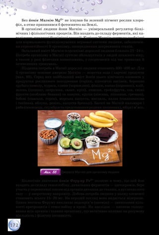 172
Без йонів Магнію Mg2+ не існував би зелений пігмент рослин хлоро-
філ, а отже припинився б фотосинтез на Землі.
В організмі людини йони Магнію — універсальний регулятор біохі-
мічних і фізіологічних процесів. Він входить до складу ферментів, які ка-
талізують численні біохімічні реакції. Катіони Магнію життєво необхідні
для нормального функціонування нервової системи людини, забезпечен-
ня стресостійкості її організму, попередження депресивних станів.
Загальний вміст Магнію в організмі дорослої людини близько 21–24 г.
Потреба організму в Магнії суттєво збільшується у людей похилого віку,
а також у разі фізичних навантажень, у спортсменів під час тривалих й
інтенсивних тренувань.
Щоденна потреба в Магнії дорослої людини становить 300–400 мг. Для
її організму основне джерело Магнію — жорстка вода і харчові продукти
(мал. 88). Серед них найбільший вміст йонів цього хімічного елемента у
продуктах рослинного походження (горіхи, пшеничні висівки, борошно
грубого помелу, курага, сливи (чорнослив), фініки, какао (порошок), хліб,
зелень (шпинат, петрушка, салат, кріп), лимони, грейпфрути, соя, свіжі
фрукти (особливо банани) та кавуни, крупи (вівсяна, пшоняна, гречана),
бобові (квасоля, горох), морська капуста, мигдаль, халва (соняшникова
і тахінна), яблука, ревінь, капуста броколі). Багаті на Магній кальмари і
риба(оселедець,скумбріятапредставникиродинилососевих),яйцяім’ясо.
2+
Мал. 88Мал. 88 Джерела Магнію для організму людини
Біологічне значення йонів Феруму Fe2+ полягає в тому, що цей йон
входить до складу гемоглобіну, дихальних ферментів — цитохромів, бере
участь у перенесенні кисню від органів дихання до тканин, а вуглекислого
газу — у зворотному напрямку. Добова потреба людини у цьому елементі
становить всього 15–20 мг. На перший погляд вона видається мізерною.
Однак нестача Феруму викликає недокрів’я (анемію) — зменшення кіль-
кості еритроцитів і гемоглобіну в крові. Як наслідок — кисневе голоду-
вання всіх органів і тканин організму, що негативно впливає на розумову
діяльність і фізичну активність.
 