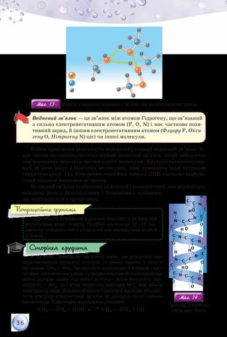 36
Мал. 13Мал. 13 Модель утворення водневого зв’язку між молекулами метанолу
Водневий зв’язок — це зв’язок між атомом Гідрогену, що зв’язаний
з сильно електронегативним атомом (F, O, N) і має частково пози-
тивний заряд, й іншим електронегативним атомом (Флуору F, Окси­-
гену О, Нітрогену N) цієї чи іншої молекули.
В обох прикладах розглянуто міжмолекулярний водневий зв’язок. Іс-
нує також внутрішньомолекулярний водневий зв’язок, який забезпечує
«зв’язування» окремих частин однієї молекули. Внутрішньомолекуляр-
ний зв’язок існує в білкових молекулах, ним зумовлена їхня вторинна
структура (мал. 14). Утворення подвійної спіралі ДНК частково відбува-
ється завдяки водневим зв’язкам.
Водневий зв’язок слабкіший за йонний і ковалентний, але він відіграє
важливу роль у фізіологічних і біохімічних процесах,
що відбуваються в організмах.
Обговоріть утворення в розчині водневого зв’язку між
молекулами води і спирту. Подібно малюнкам 12 і 13 схе-
матично зобразіть його утворення між молекулами води й
етанолу.
У 10 класі, вивчаючи органічну хімію, ви дізналися про
нітрогеновмісні органічні сполуки — аміни, одним з яких є	
метанамін СН3 — NH2. За здатність взаємодіяти з водою і кис-
лотами, розчинятись у воді з утворенням лужного середо­вища
аміни дістали назву «органічні основи». Атом Нітрогену амі-
ногрупи — NH2, як і атом Нітрогену амоніаку NH3, має вільну
електрон­ну пару. Завдяки їй катіон Гідрогену від води або кис-
лоти утворює ковалентний зв’язок за донорно-акцепторним
механізмом. Взаємодію відображає рівняння:
СH3 — NH2 + HOH СH3 — NH
+
3 + OH
–
Попрацюйте групами
Сторінка ерудита
Приклад вторинної
структури білків
Мал. 14Мал. 14
 
