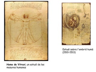 Estudi sobre l'embrió humà
                                    (1510-1513)




Home de Vitruvi, un estudi de les
mesures humanes
 