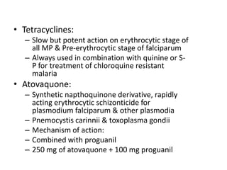 • Tetracyclines:
– Slow but potent action on erythrocytic stage of
all MP & Pre-erythrocytic stage of falciparum
– Always used in combination with quinine or S-
P for treatment of chloroquine resistant
malaria
• Atovaquone:
– Synthetic napthoquinone derivative, rapidly
acting erythrocytic schizonticide for
plasmodium falciparum & other plasmodia
– Pnemocystis carinnii & toxoplasma gondii
– Mechanism of action:
– Combined with proguanil
– 250 mg of atovaquone + 100 mg proguanil
 