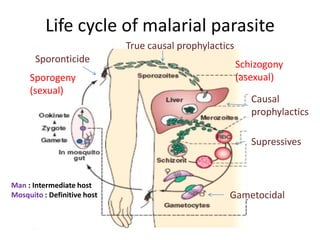 Life cycle of malarial parasite
Sporogeny
(sexual)
Schizogony
(asexual)
Man : Intermediate host
Mosquito : Definitive host
True causal prophylactics
Causal
prophylactics
Supressives
Gametocidal
Sporonticide
 