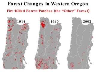 Management Of Wildlife And Fish Habitats In Forests Of Western Oregon ...