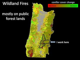 Management Of Wildlife And Fish Habitats In Forests Of Western Oregon ...