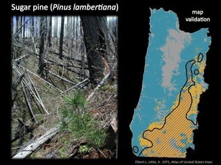 Management Of Wildlife And Fish Habitats In Forests Of Western Oregon ...