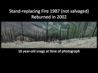 Management Of Wildlife And Fish Habitats In Forests Of Western Oregon ...