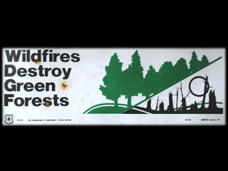 Management Of Wildlife And Fish Habitats In Forests Of Western Oregon ...