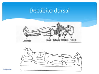 Decúbito dorsal

Prof. Amadeu

106

 