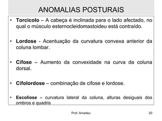 ANOMALIAS POSTURAIS
• Torcicolo – A cabeça é inclinada para o lado afectado, no
qual o músculo esternocleidomastoideu está contraído.
• Lordose - Acentuação da curvatura convexa anterior da
coluna lombar.
• Cifose – Aumento da convexidade na curva da coluna
dorsal.
• Cifolordose – combinação de cifose e lordose.
• Escoliose – curvatura lateral da coluna, alturas desiguais dos
ombros e quadris
Prof. Amadeu

20

 