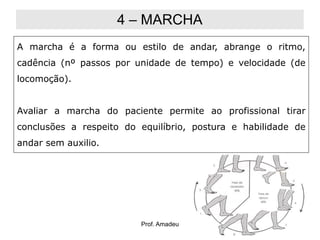 4 – MARCHA
A marcha é a forma ou estilo de andar, abrange o ritmo,

cadência (nº passos por unidade de tempo) e velocidade (de
locomoção).

Avaliar a marcha do paciente permite ao profissional tirar
conclusões a respeito do equilíbrio, postura e habilidade de
andar sem auxilio.

Prof. Amadeu

37

 