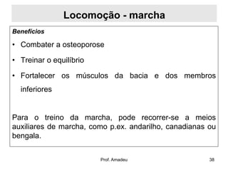 Locomoção - marcha
Benefícios

• Combater a osteoporose
• Treinar o equilíbrio
• Fortalecer os músculos da bacia e dos membros
inferiores

Para o treino da marcha, pode recorrer-se a meios
auxiliares de marcha, como p.ex. andarilho, canadianas ou
bengala.
Prof. Amadeu

38

 
