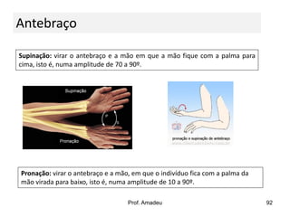 Antebraço
Supinação: virar o antebraço e a mão em que a mão fique com a palma para
cima, isto é, numa amplitude de 70 a 90º.

Pronação: virar o antebraço e a mão, em que o indivíduo fica com a palma da
mão virada para baixo, isto é, numa amplitude de 10 a 90º.
Prof. Amadeu

92

 