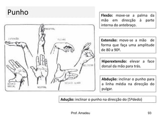 Punho

Flexão: move-se a palma da
mão em direcção à parte
interna do antebraço.

Extensão: move-se a mão de
forma que faça uma amplitude
de 80 a 90º.
Hiperextensão: elevar a face
dorsal da mão para trás.
Abdução: inclinar o punho para
a linha média na direcção do
pulgar.
Adução: inclinar o punho na direcção do (5ºdedo)

Prof. Amadeu

93

 